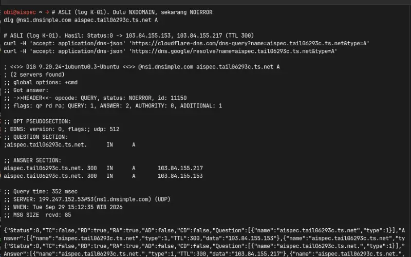 Terminal showing DNS over HTTPS answers with two public IP addresses after the outage - Robby Aliasa Akbar