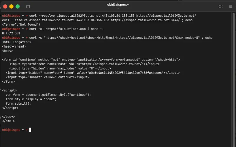 Terminal showing forced public requests answered not found while a control request works - Robby Aliasa Akbar